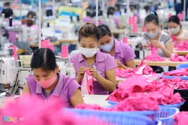 8,000 firms owe social insurance fees