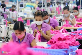 8,000 firms owe social insurance fees
