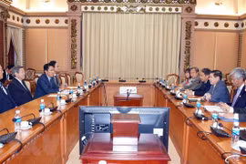 Japan ready to support HCM City in development projects