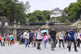 Vietnamese, Japanese travel firms foster connectivity