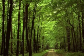 Dong Nai targets tourists from Japan, RoK, Germany, Australia 