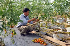 Nearly one-tenth of all agricultural firms set up in past six months