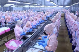 Private sector growth - key to financing sustainable development: UNDP report