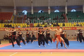Martial arts exchange between Vietnamese, French provinces