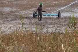 Mekong Delta likely to face drought, salinity in winter-spring crop