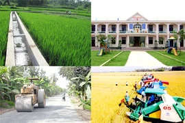 Project to develop Nghe An border communes