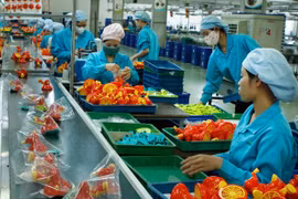 Newly-established enterprises up in 2018