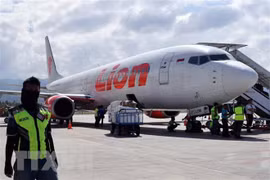 Indonesia orders checks on all Boeing 737 Max planes