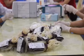 HCM City faces shortage of blood stock for Tet