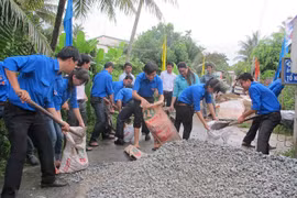 Summer Volunteer Campaign to kick off in June