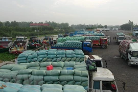 Agricultural product exports via Lao Cai border gate surge
