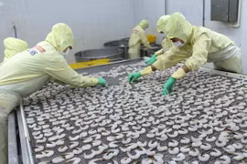 Minister urges fisheries development to base on three pillars