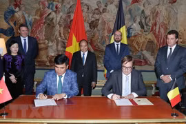 Vietnam, Belgium promote cooperation in multiple fields