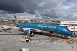 Vietnam Airlines, VietJet adjust fees up