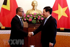 Vietnam, Timor-Leste FMs discuss measures to step up relations