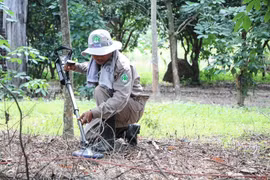 Domestic and international efforts boost landmine cleanup
