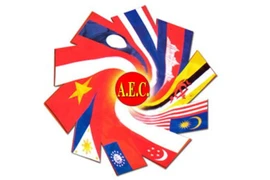 HCM City builds sustainable relations with ASEAN members