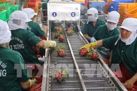 Tien Giang province’s export turnover hits 2.7 billion USD