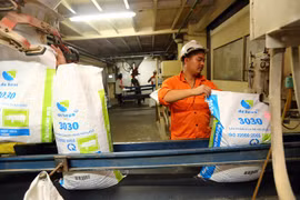 Foreign firms dominate Vietnam's fast-growing animal feed industry