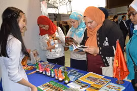 Vietnam leaves impression at cultural festival in Egypt