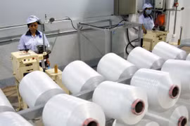Vietnamese, Hong Kong businesses seek stronger partnership