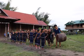 Gia Lai ready for gong cultural festival