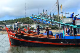 Phu Yen takes urgent measures against illegal fishing