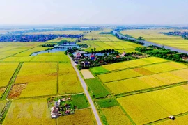 Agricultural land use market needs updated legal framework