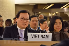 Vietnam supports peaceful use of nuclear power: Ambassador