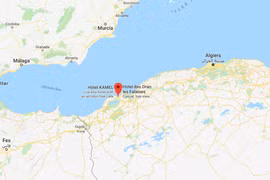 Vietnamese worker died in Algeria brought home