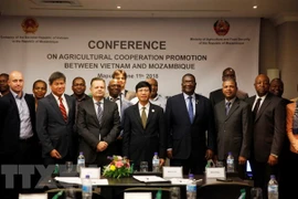 Vietnam, Mozambique further foster agricultural cooperation