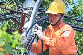 EVN to withdraw capital from Thuan Binh Wind Power JSC in Q3