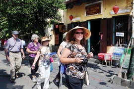Vietnam showcases traditional culture, cuisine in Turkey
