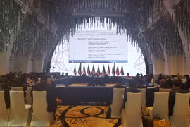 Vietnam attends ASEAN SOM in Singapore