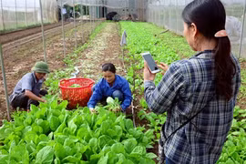 Code and barcodes are necessary to ensure safety