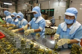 Vietnam to attend China International Import Exposition