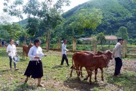 Activities to care for the poor draw public attention