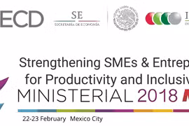 Vietnam attends OECD ministerial conference on SMEs in Mexico
