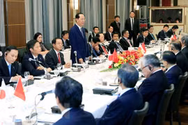 Vietnam rolls out carpet for Japanese investment: President