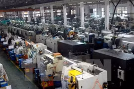 Japanese businesses seek investment opportunities in Can Tho