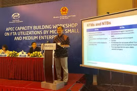 Solutions sought to help MSMEs make full use of FTAs