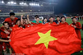 Malaysian media comment on Vietnam’s football victory
