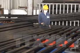 Hoa Phat partners with Italian group to produce stainless steel