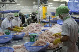 VASEP: Tra fish export to EU tends to recover