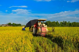 Workshop seeks solutions to stimulate land accumulation 