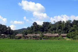 Master plan to develop Tan Trao national tourism site unveiled