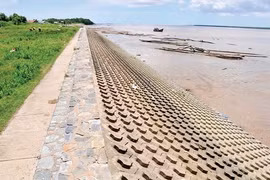 HCM City’s sea dyke aims to stop waterlogging