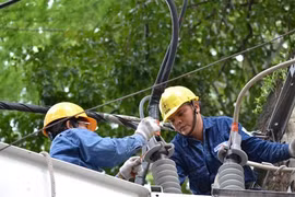 EVN ensures stable electricity supply for southern hub