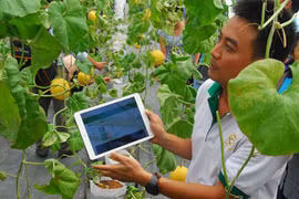 Can Tho promotes startup spirit among farmers