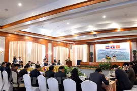 Vietnam-Laos-Cambodia joint campaign curbs rise in human trafficking 